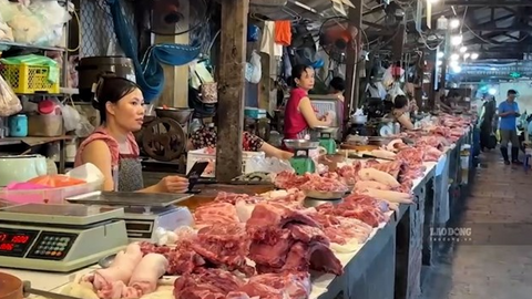 Giá heo hơi hôm nay 27.7: Tiếp tục rớt giá, thấp nhất xuống còn 61.000 đồng/kg