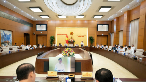 Đề xuất bổ sung quy định cấm tham gia đấu giá đối với người đã trúng đấu giá nhưng ‘bỏ cọc’