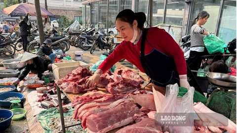 Giá heo hơi hôm nay 28.7: Tiếp tục giảm, cao nhất ở mức 65.000 đồng/kg