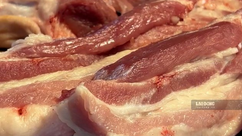 Giá heo hơi hôm nay 31.7: Tiếp tục sụt giảm, thấp nhất là 60.000 đồng/kg