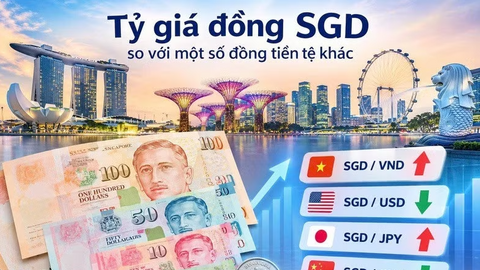 Đồng SGD mạnh lên, hàng Việt có thêm lợi thế tại Singapore