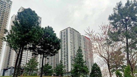 Bất động sản chịu nhiều áp lực, một nhóm doanh nghiệp vẫn giữ lợi thế