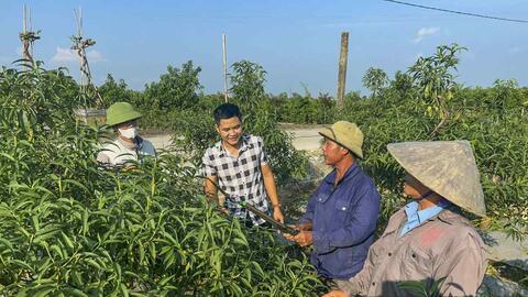 Cán bộ thôn thời 4.0: Sức trẻ tiếp nối giữ lại "vốn làng"