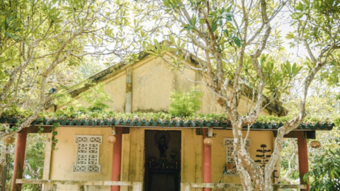 Chùa Dơi - ngôi chùa mang đậm dấu ấn di sản lịch sử và nghệ thuật kiến trúc Khmer Nam Bộ