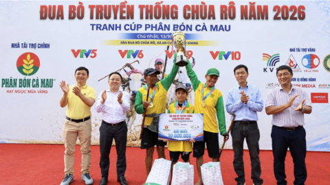 Phân bón Cà Mau đồng hành cùng Hội đua bò chùa Rô 2026