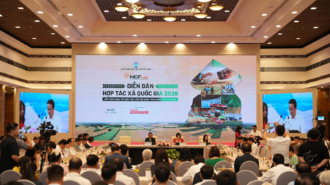 Diễn đàn Hợp tác xã Quốc gia 2026: Mở hướng đi mới cho kinh tế hợp tác trong giai đoạn thực thi