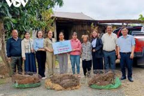 Tạo điều kiện cho phụ nữ vùng biên tiếp cận vốn sản xuất