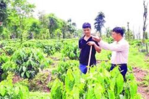 “Đòn bẩy” giúp người lầm lỗi tái hòa nhập cộng đồng, vươn lên ổn định cuộc sống