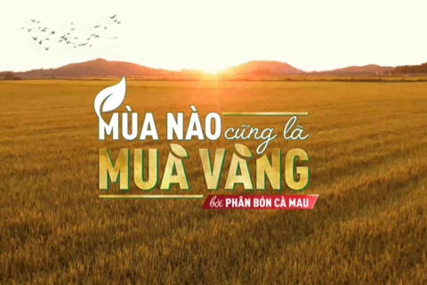 <a href="/truyen-thong-so" title="Truyền thông số" rel="dofollow">Truyền thông số</a>