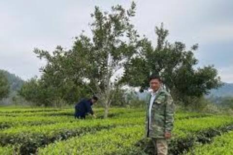 Phát triển sinh kế từ mô hình nông, lâm nghiệp kết hợp du lịch cộng đồng