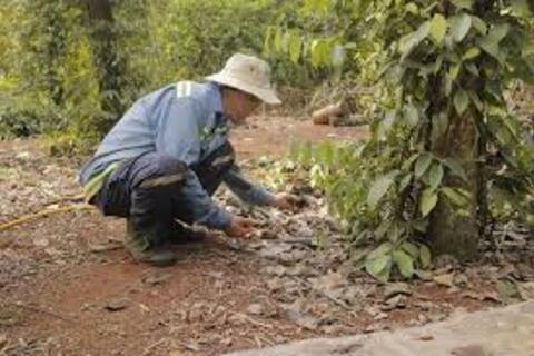 Giải bài toán "khát" lao động nông thôn