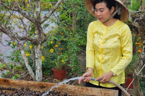 Cô gái miền Tây kiếm trăm triệu từ loại trái bị quên lãng
