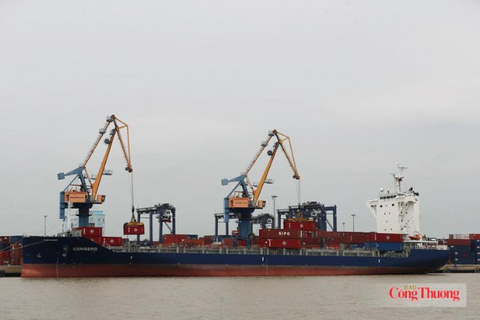 Hoàn thiện thể chế CPTPP: Mở rộng dư địa cho hàng Việt xuất khẩu
