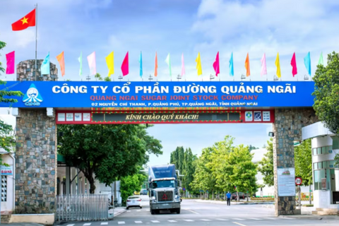 Đường Quảng Ngãi (QNS) nâng vốn dự án điện sinh khối lên hơn 1.500 tỷ đồng, nợ vay ngắn hạn đã vượt 3.400 tỷ đồng