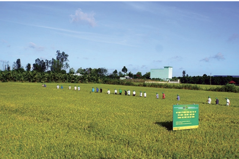 An ninh năng lượng - Nền tảng bảo đảm an ninh lương thực và ổn định kinh tế