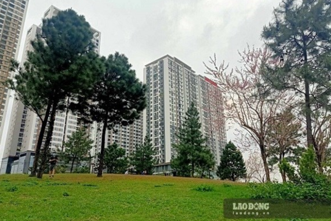 Bất động sản chịu nhiều áp lực, một nhóm doanh nghiệp vẫn giữ lợi thế