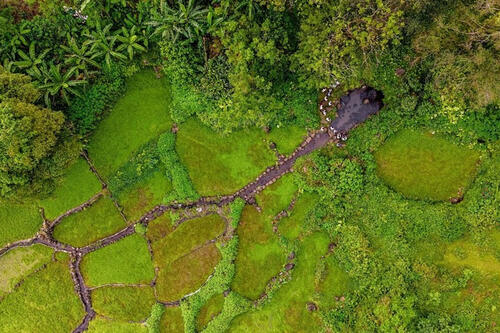 UNESCO đồng hành với tỉnh Quảng Trị xây dựng hồ sơ ghi danh các di sản