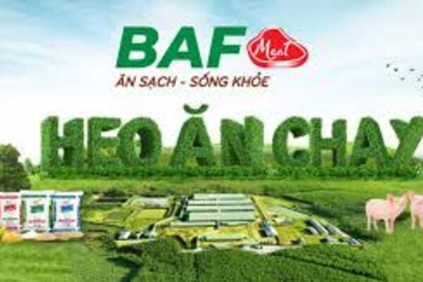 BaF Việt Nam bán lại công ty sở hữu 7.500 heo nái sau chưa đầy 4 tháng: Thương vụ M&A dở dang?