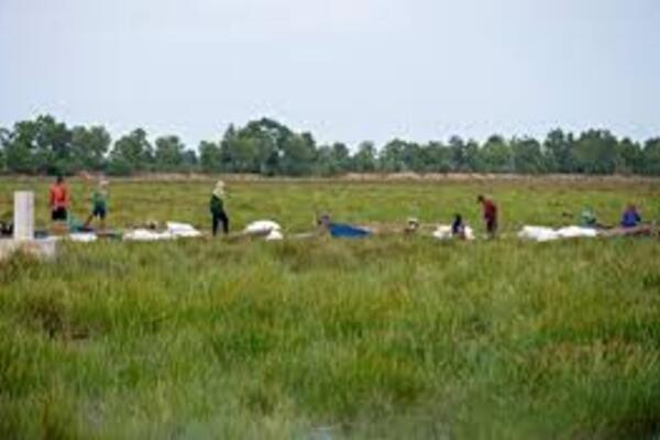 Triển khai nhiều mô hình phát triển kinh tế - xã hội vùng biên giới Tây Nam