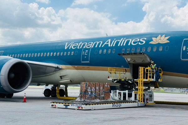Vietnam Airlines đồng hành vận chuyển sếu đầu đỏ từ Thái Lan về Việt Nam, góp phần bảo tồn đa dạng sinh học