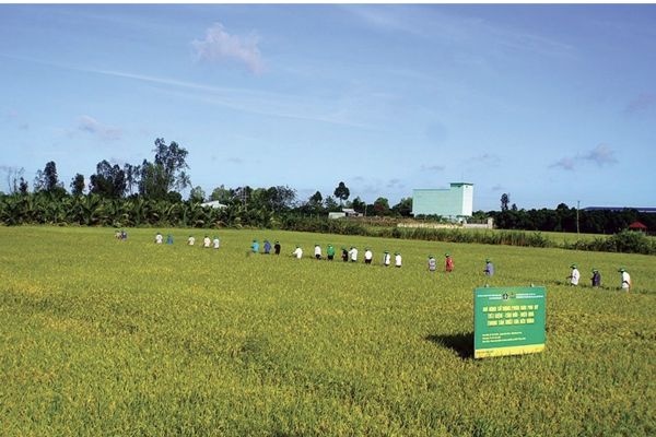 An ninh năng lượng - Nền tảng bảo đảm an ninh lương thực và ổn định kinh tế