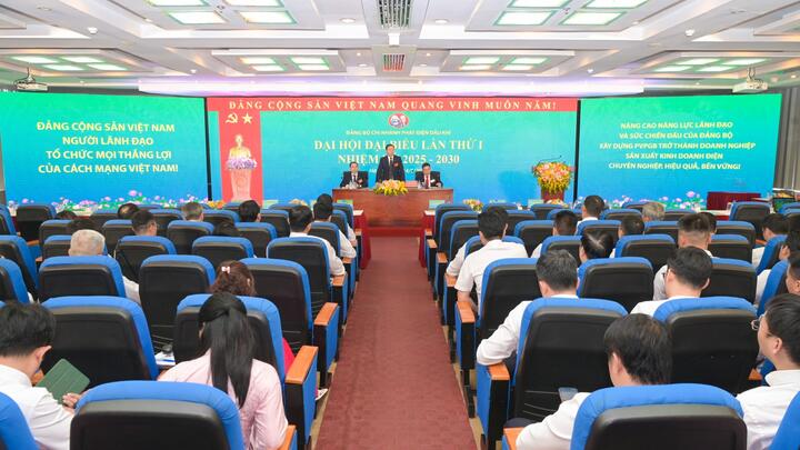 Nâng cao vai trò dẫn dắt, trở thành doanh nghiệp phát điện chuyên nghiệp, bền vững trong giai đoạn mới