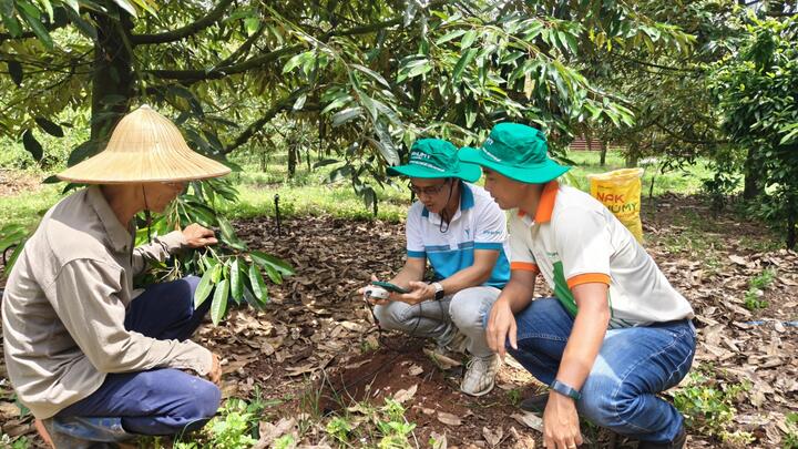 Công trình hóa dầu đầu tiên tại Phú Mỹ của Petrovietnam - nền móng cho ngành hóa dầu