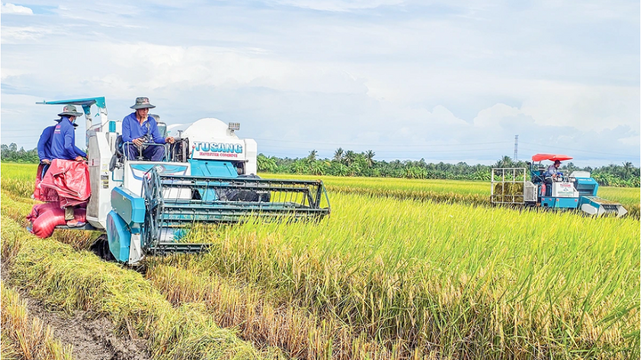 Liên kết chuỗi giá trị xanh để tăng sức cạnh tranh cho nông sản