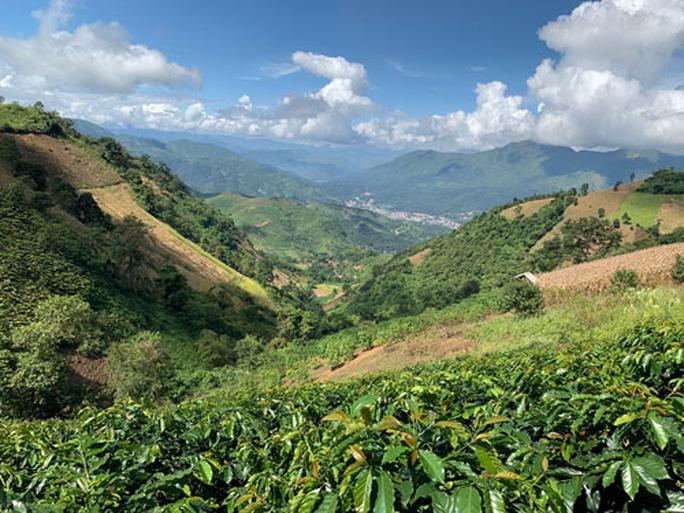 Pha Đin đã thành điểm đến - Ảnh 3. Pha Đin đã thành điểm đến - Ảnh 3.