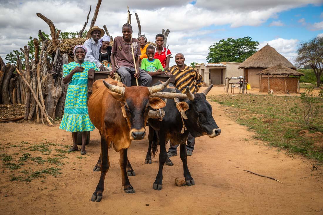 Vượt đói nghèo, Zimbabwe cam kết giảm 40% khí thải nhà kính vào 2030 - Ảnh 1