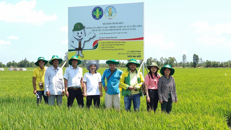 PVCFC: Hai sứ mệnh, một thương hiệu Phân bón Cà Mau