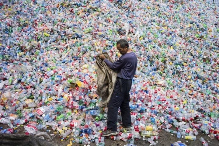 Hạt vi nhựa: 'Con dao sắc' đe dọa con người và sinh vật biển - Ảnh 3