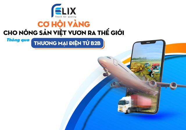 Cơ hội nào cho thương mại điện tử B2B Việt Nam vươn tầm quốc tế? - Ảnh 2.