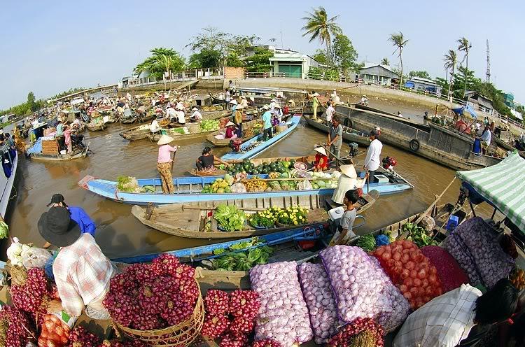 Chợ Nổi – Tài nguyên văn hóa từ môi trường sinh thái - Ảnh 5