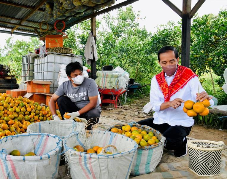 Indonesia gồng mình trước nỗi lo lạm phát tăng nhiệt - Ảnh 2