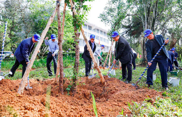 Lâm Đồng: Đề xuất trồng 50 triệu cây xanh giai đoạn 2022 - 2025 - Ảnh 1