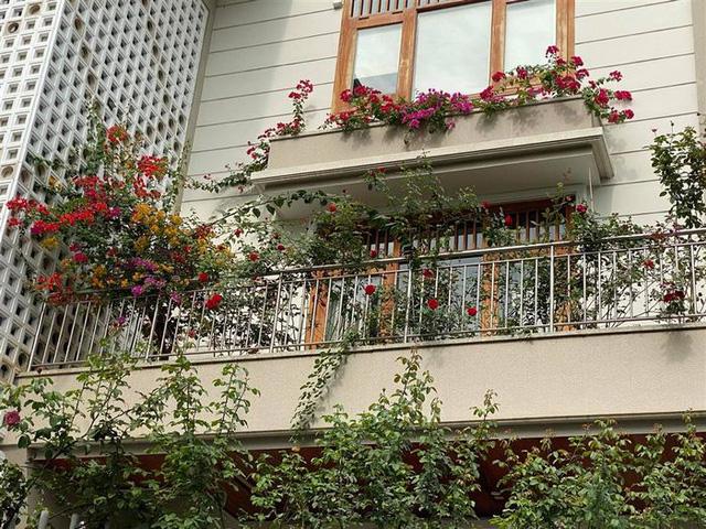 Biệt thự hoa hồng phủ kín lối đi của vợ chồng diễn viên Quý Bình, được bà xã đại gia gọi là full house - Ảnh 5. Biệt thự hoa hồng phủ kín lối đi của vợ chồng diễn viên Quý Bình, được bà xã đại gia gọi là full house - Ảnh 5.