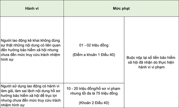 Làm việc online tại nhà, F0 không được hưởng BHXH - Ảnh 1.