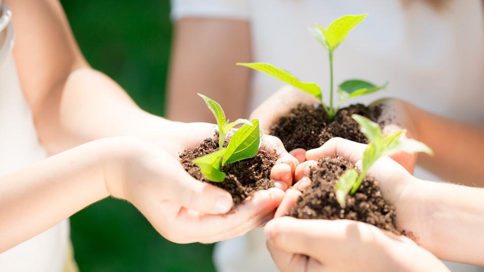 Những hình ảnh bảo vệ môi trường đẹp, ý nghĩa - Ảnh 20