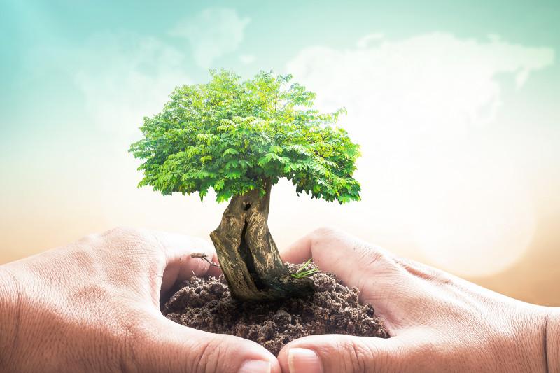Những hình ảnh bảo vệ môi trường đẹp, ý nghĩa - Ảnh 16