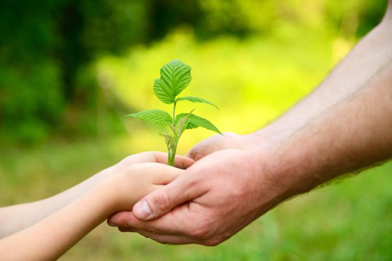 Những hình ảnh bảo vệ môi trường đẹp, ý nghĩa - Ảnh 19