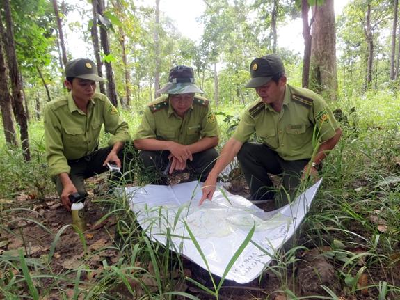 Rừng Tây Nguyên bị tàn phá, Đắk Lắk đề xuất sửa luật để bảo vệ - Ảnh 2