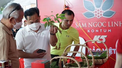 Lần đầu tổ chức phiên chợ sâm Ngọc Linh - Ảnh 1. Lần đầu tổ chức phiên chợ sâm Ngọc Linh - Ảnh 1.