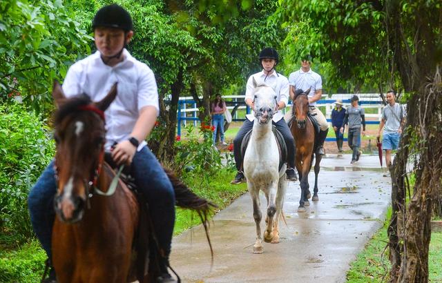 Ảnh: Người Hà Nội chi tiền triệu học cưỡi ngựa - Ảnh 10.