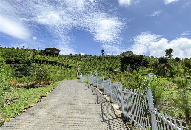 Ngọc Trinh có homestay ảnh 3