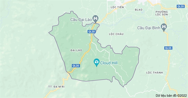 Ngọc Trinh có homestay ảnh 4