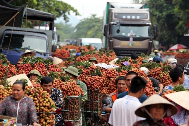 doanh thu vải thiều Bắc Giang ảnh 1