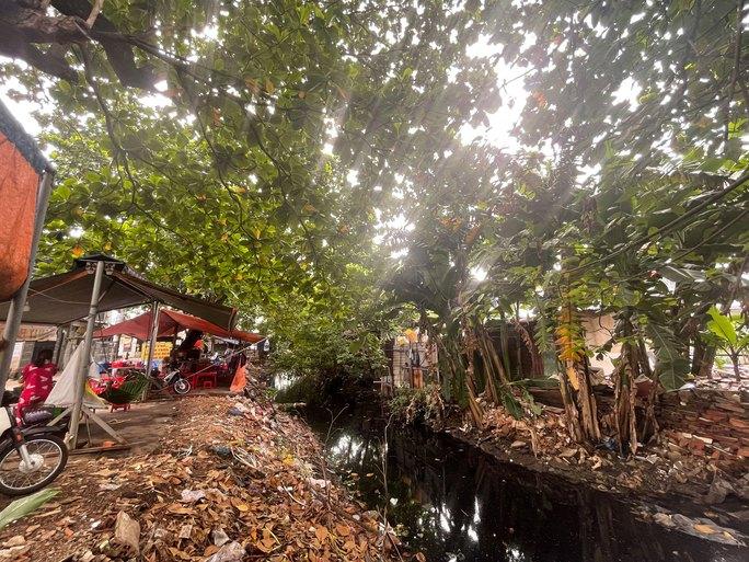 Lấn kênh, chiếm rạch - Ảnh 1.