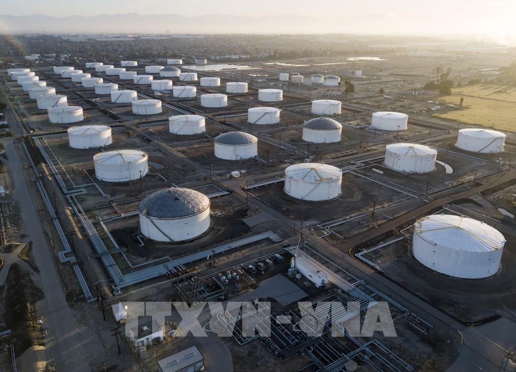 Xung đột Nga-Ukraine và những thay đổi về thương mại năng lượng và lương  thực toàn cầu