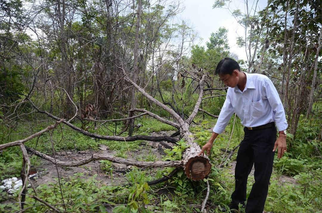 Nan giải việc di dời người dân khỏi Khu bảo tồn thiên nhiên Bình Châu - Phước Bửu - Ảnh 2